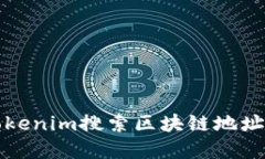 如何使用Tokenim搜索区块链