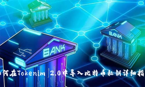 如何在Tokenim 2.0中导入比特币私钥详细指南