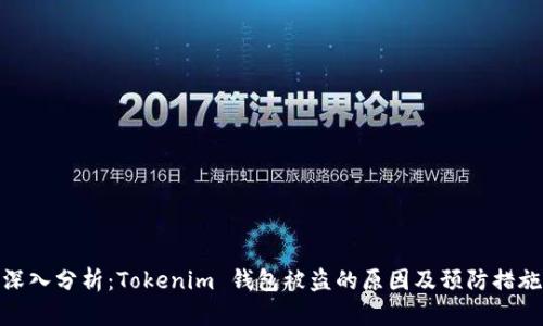 深入分析：Tokenim 钱包被盗的原因及预防措施