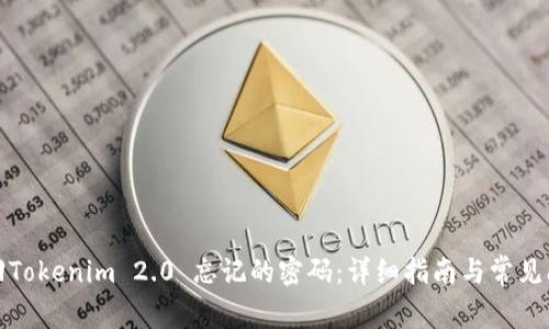 如何找回Tokenim 2.0 忘记的密码：详细指南与常见问题解答