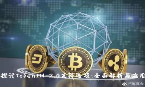 深入探讨TokenIM 2.0高阶选项：全面解析与应用指南