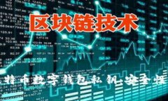 全面解析比特币数字钱包