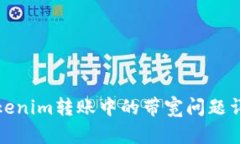 Tokenim转账中的带宽问题详
