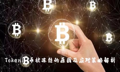 Tokenim币被冻结的原因及应对策略解析