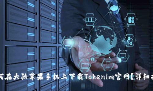 如何在大陆苹果手机上下载Tokenim官网？详细指南
