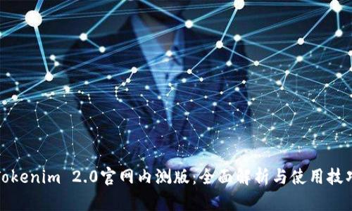 Tokenim 2.0官网内测版：全面解析与使用技巧