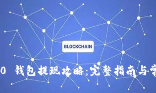 Tokenim 2.0 钱包提现攻略：完整指南与常见问题解答