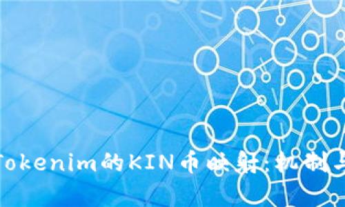 深入解析Tokenim的KIN币映射：机制与应用详述
