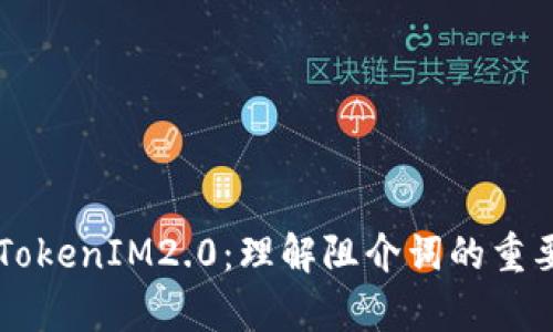 深入解析TokenIM2.0：理解阻介词的重要性与应用