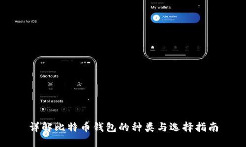 详解比特币钱包的种类与选择指南
