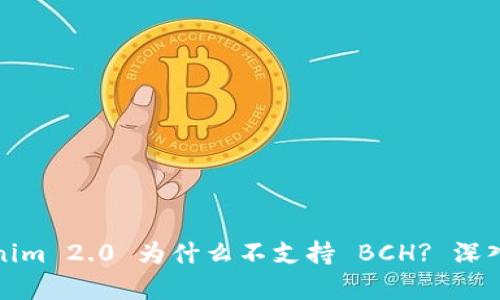Tokenim 2.0 为什么不支持 BCH? 深入解析