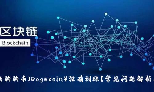 为什么我的狗狗币（Dogecoin）没有到账？常见问题解析与解决方案