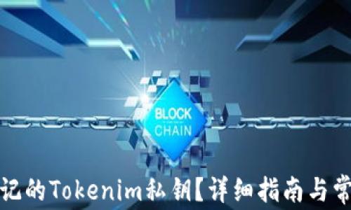 
如何恢复忘记的Tokenim私钥？详细指南与常见问题解答