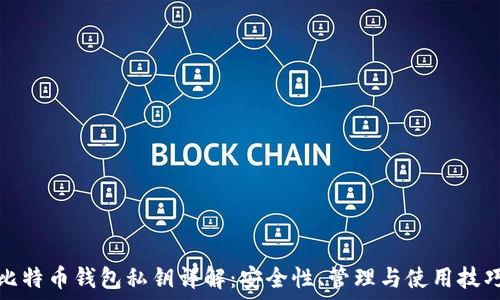   
比特币钱包私钥详解：安全性、管理与使用技巧