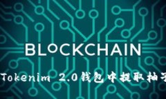 如何在Tokenim 2.0钱包中提取