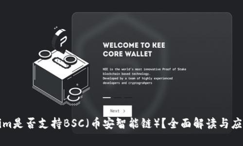 Tokenim是否支持BSC（币安智能链）？全面解读与应用指南