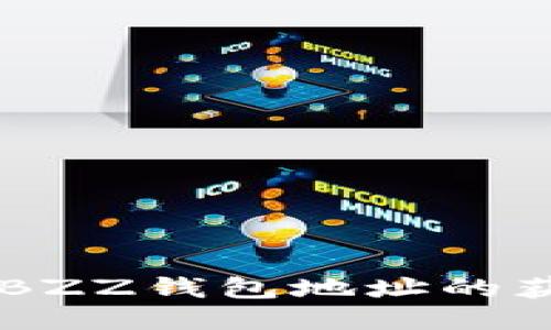 Tokenim平台：BZZ钱包地址的获取与使用指南