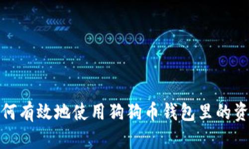 如何有效地使用狗狗币钱包里的资金
