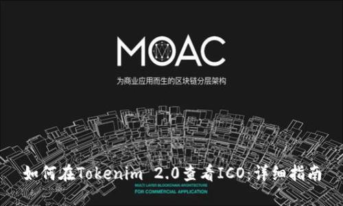 如何在Tokenim 2.0查看ICO：详细指南